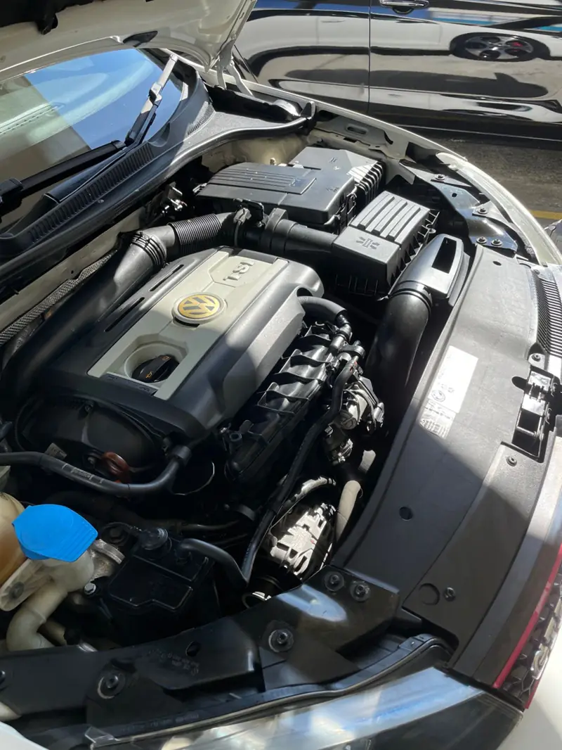 Car detailing in St Clair: engine bay cleaned and dressed