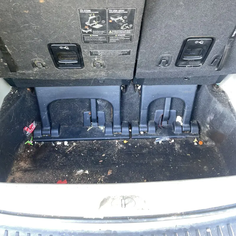 Car detailing in Randwick: boot with leaves and dirt before cleaning