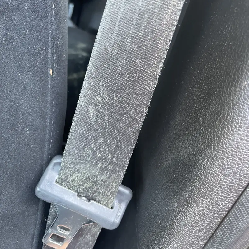 Car detailing in Figtree: seatbelt with mould before treatment