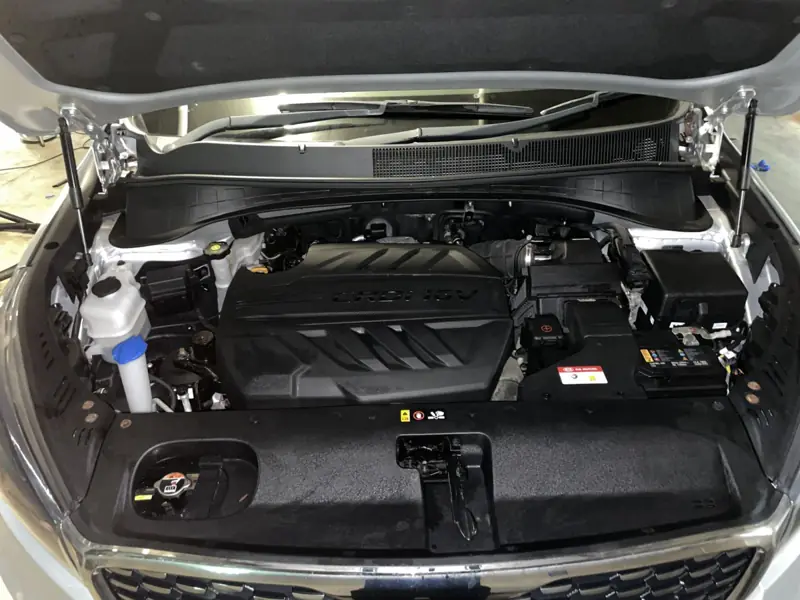 Car detailing in Waverley: engine bay after cleaning and dressing