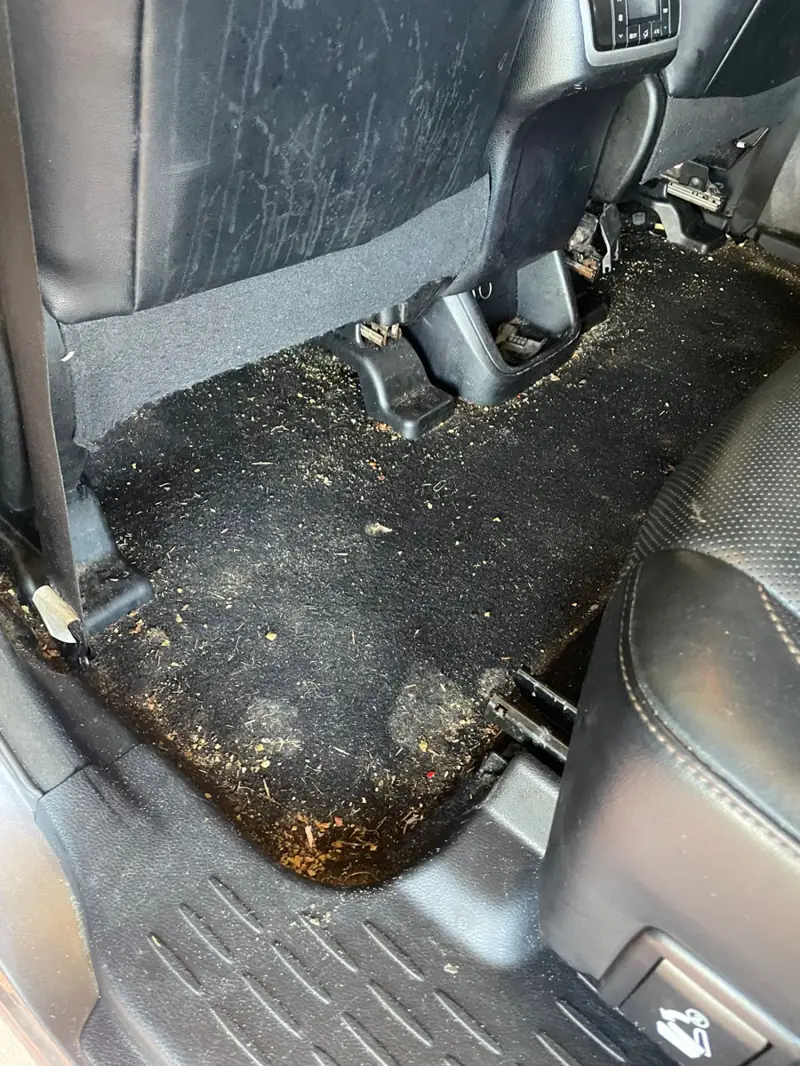 Car interior or exterior after a Hot Ride detail