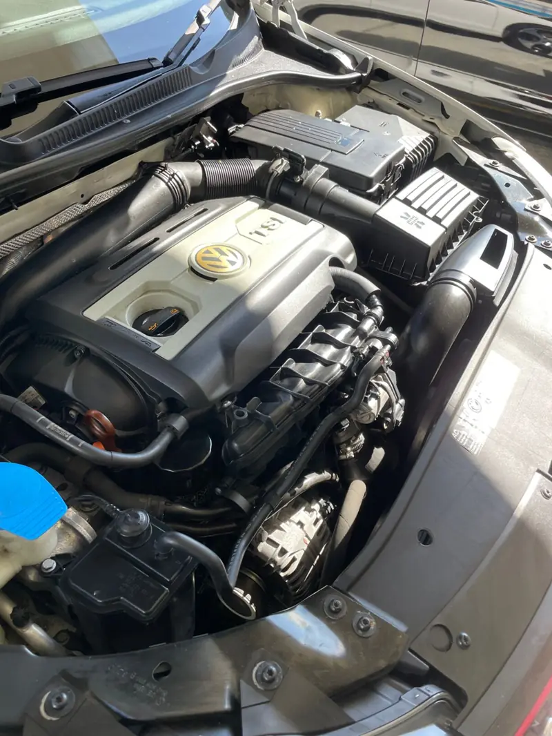 Car detailing in Ashfield: engine bay after cleaning and dressing
