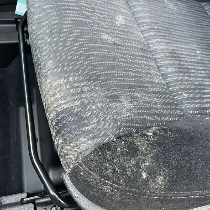 How to Get Mould Out of Car Seats (and Stop It Coming Back)