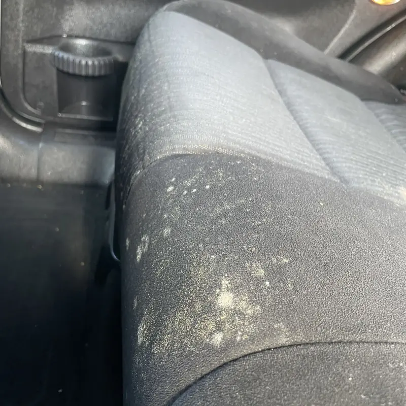 Car detailing in Ryde: mould on a cloth seat before treatment