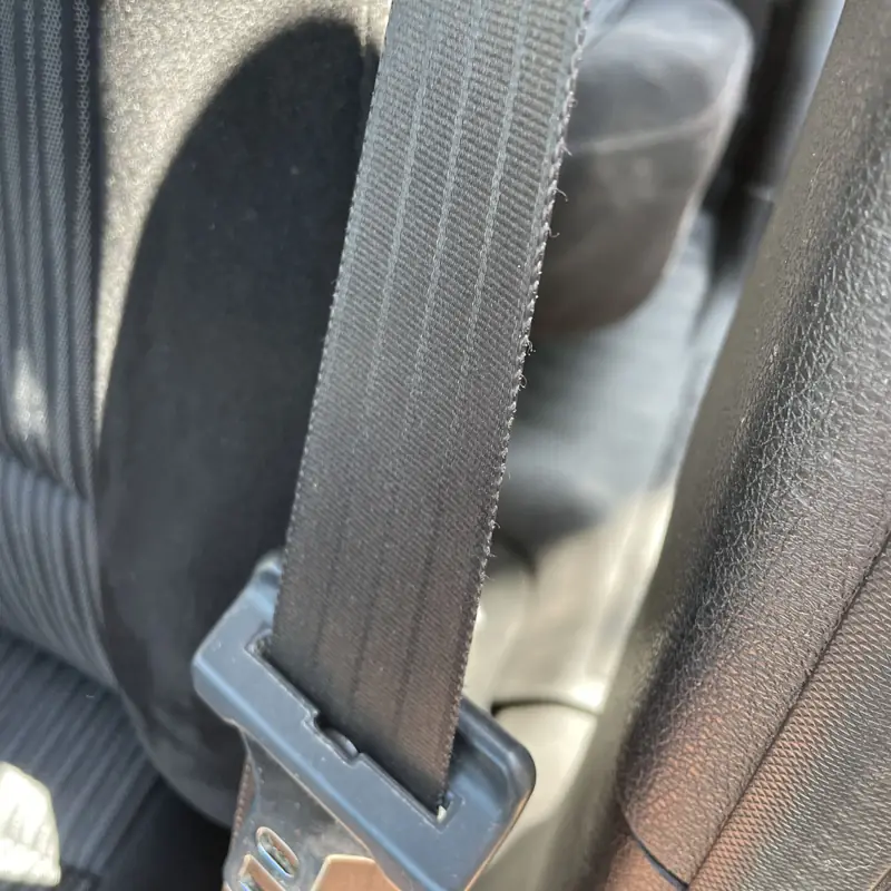 Car detailing in Randwick: seatbelt after mould treatment